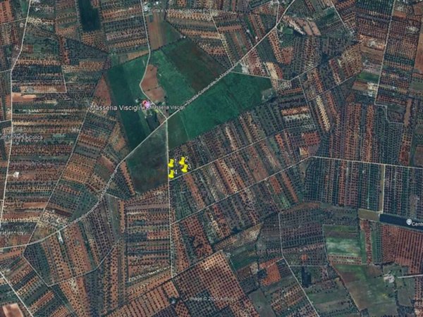 terreno agricolo in vendita a Francavilla Fontana