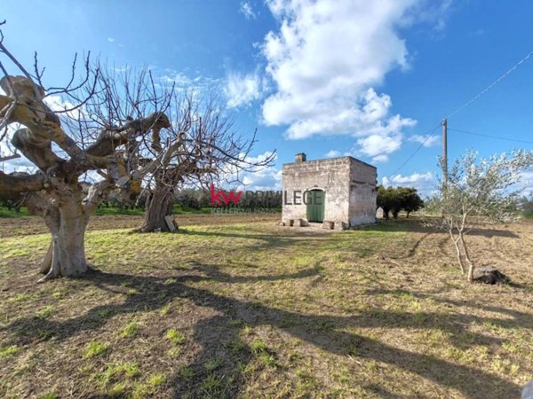 terreno agricolo in vendita a Francavilla Fontana