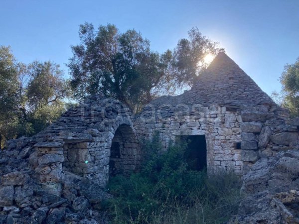 terreno agricolo in vendita a Francavilla Fontana