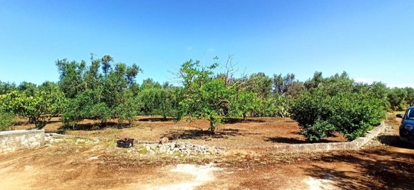 terreno agricolo in vendita a Francavilla Fontana