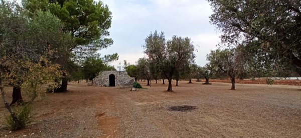 appartamento in vendita a Francavilla Fontana