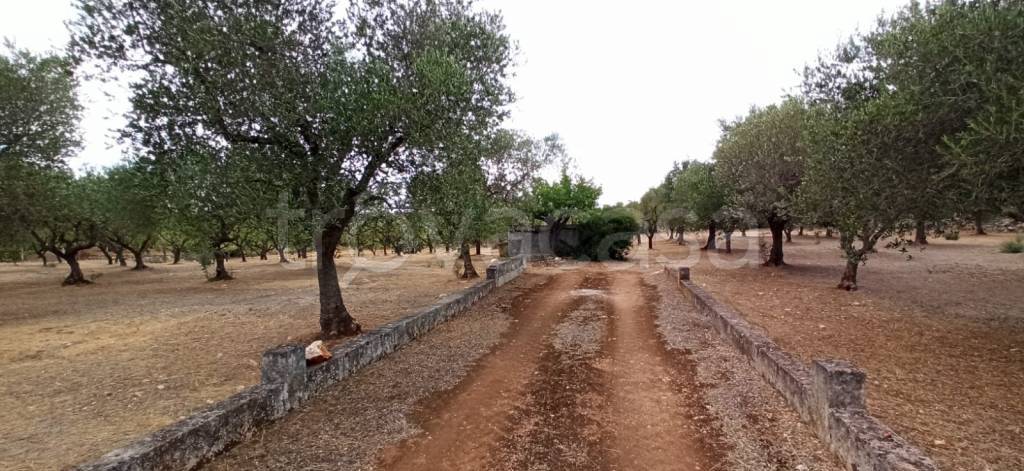 terreno agricolo in vendita a Francavilla Fontana