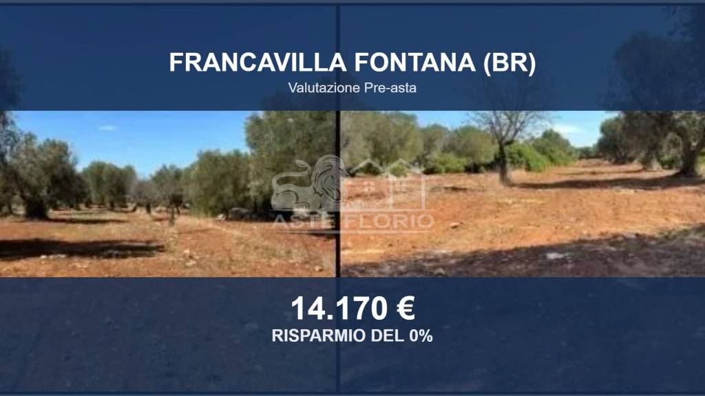 terreno agricolo in vendita a Francavilla Fontana
