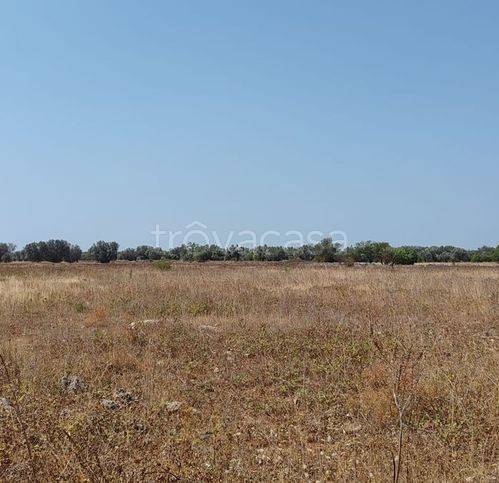 terreno agricolo in vendita a Francavilla Fontana