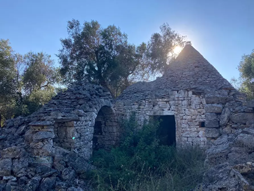 terreno agricolo in vendita a Francavilla Fontana