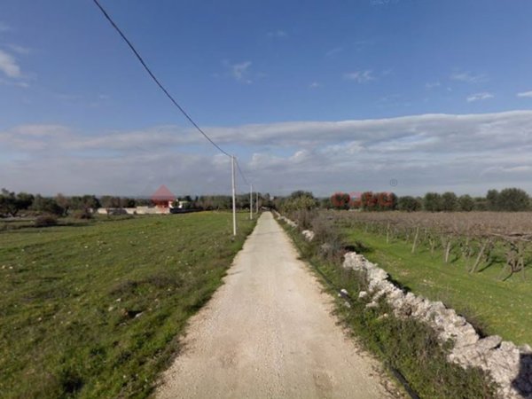 terreno agricolo in vendita a Francavilla Fontana