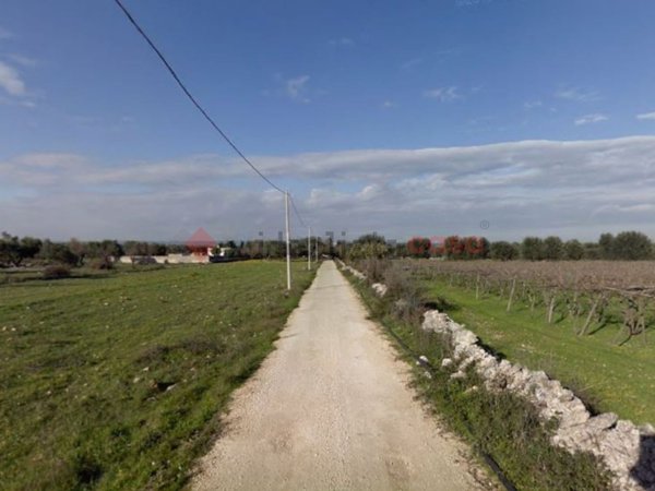 terreno agricolo in vendita a Francavilla Fontana
