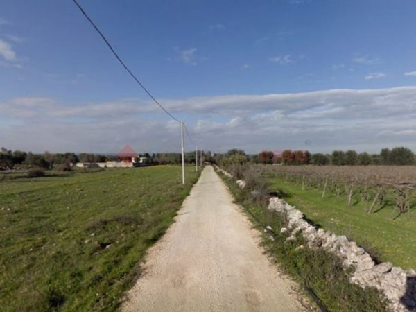 terreno agricolo in vendita a Francavilla Fontana