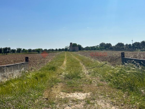 terreno agricolo in vendita a Francavilla Fontana