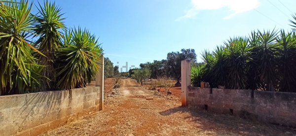 terreno in vendita a Francavilla Fontana