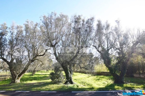 terreno agricolo in vendita a Latiano