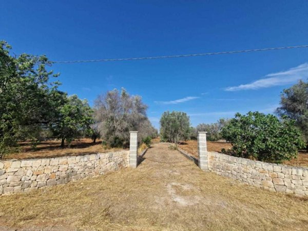 terreno agricolo in vendita a Latiano