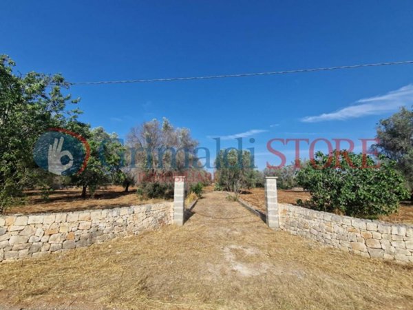 terreno agricolo in vendita a Latiano