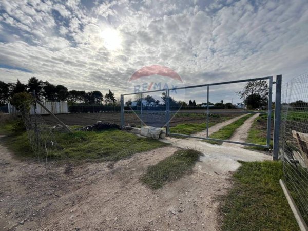 terreno agricolo in vendita a Latiano