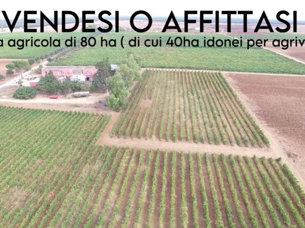 casa indipendente in vendita a Latiano