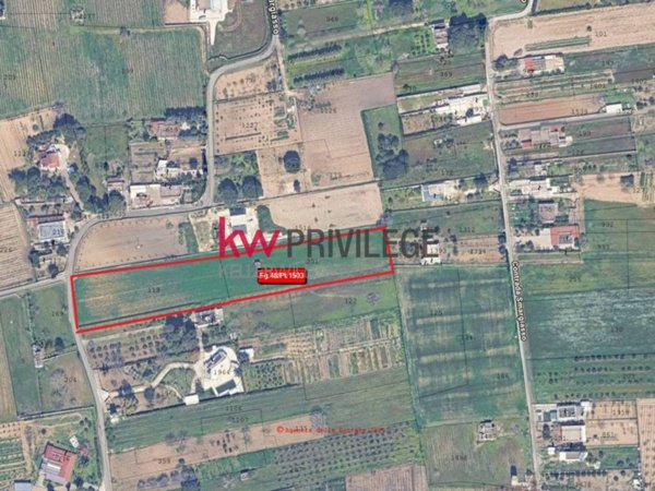terreno agricolo in vendita a Latiano