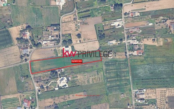 terreno agricolo in vendita a Latiano