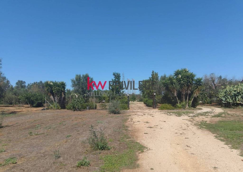 terreno agricolo in vendita a Latiano