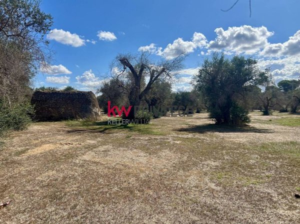 terreno agricolo in vendita a Latiano
