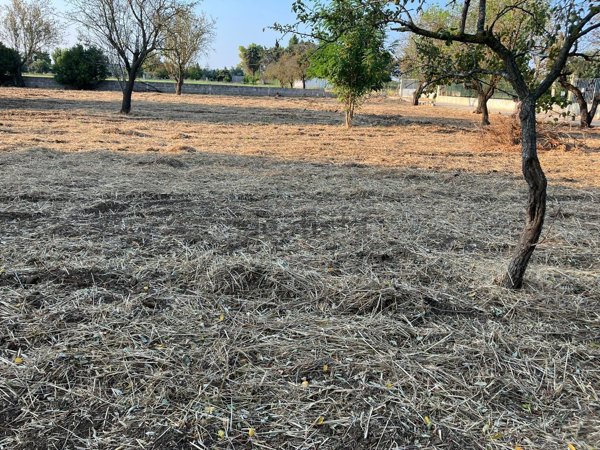 casale in vendita a Latiano