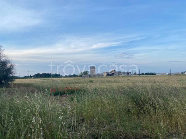 terreno agricolo in vendita a Mesagne