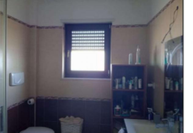 immagine annuncio 0 di 11