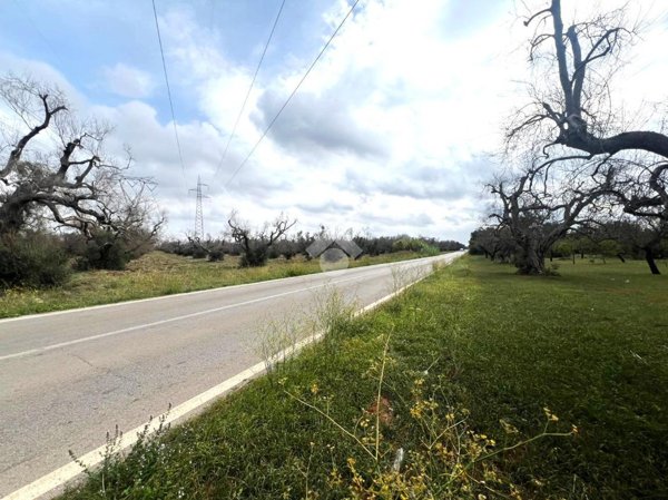 terreno agricolo in vendita a Mesagne