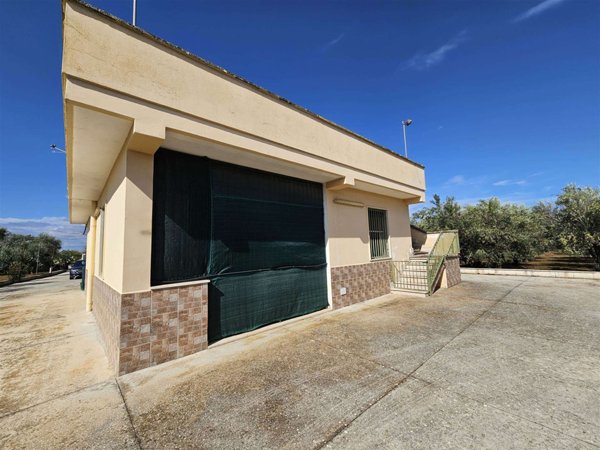 casa indipendente in vendita a Mesagne
