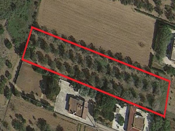 terreno agricolo in vendita a Mesagne