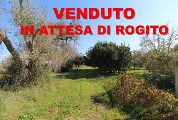 casa semindipendente in vendita a Mesagne