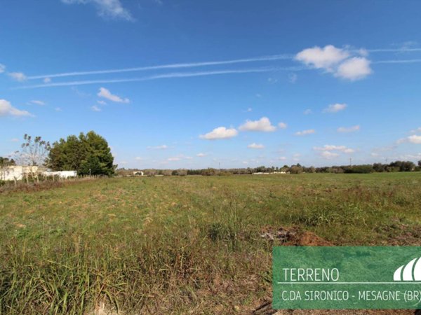 terreno agricolo in vendita a Mesagne
