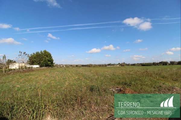 terreno agricolo in vendita a Mesagne