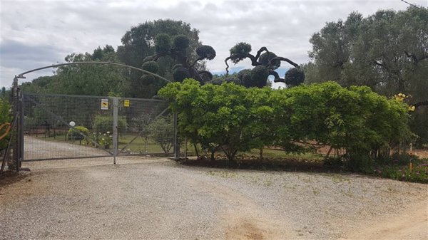 casa indipendente in vendita a Mesagne