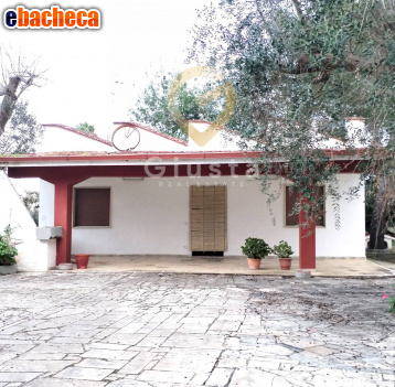 casa indipendente in vendita a Mesagne