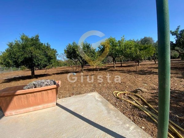 appartamento in vendita a Mesagne