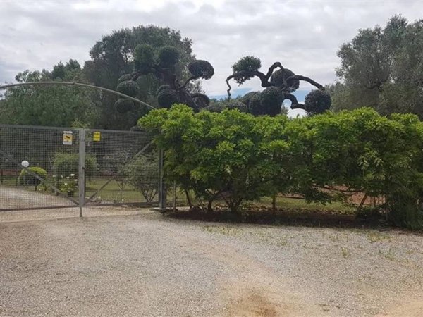 terreno agricolo in vendita a Mesagne