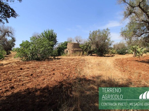 terreno agricolo in vendita a Mesagne