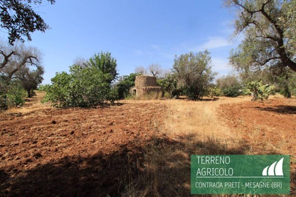 terreno agricolo in vendita a Mesagne