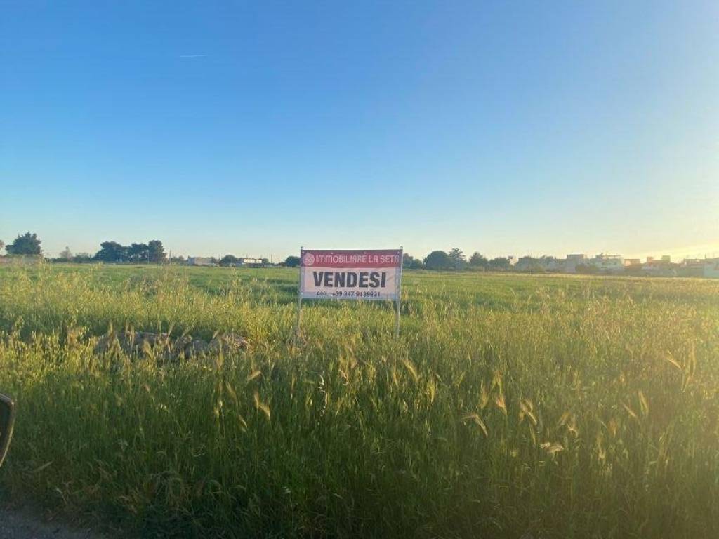 terreno agricolo in vendita a Mesagne