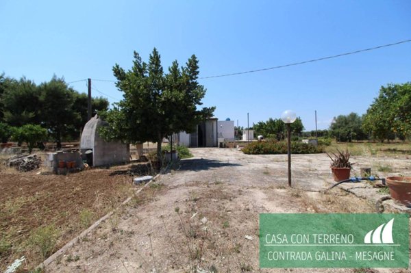casa indipendente in vendita a Mesagne