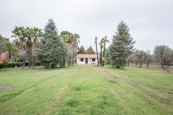 casa indipendente in vendita a Mesagne