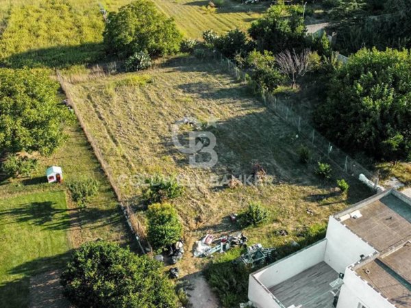 terreno agricolo in vendita a Mesagne