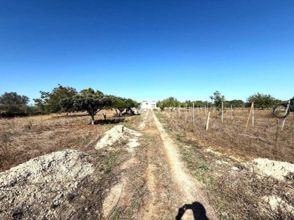 casa semindipendente in vendita a Mesagne
