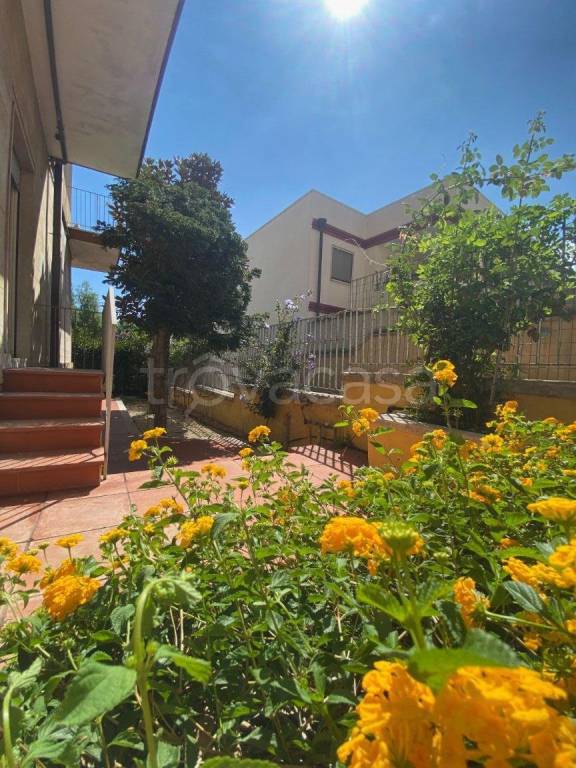 casa indipendente in vendita a Mesagne