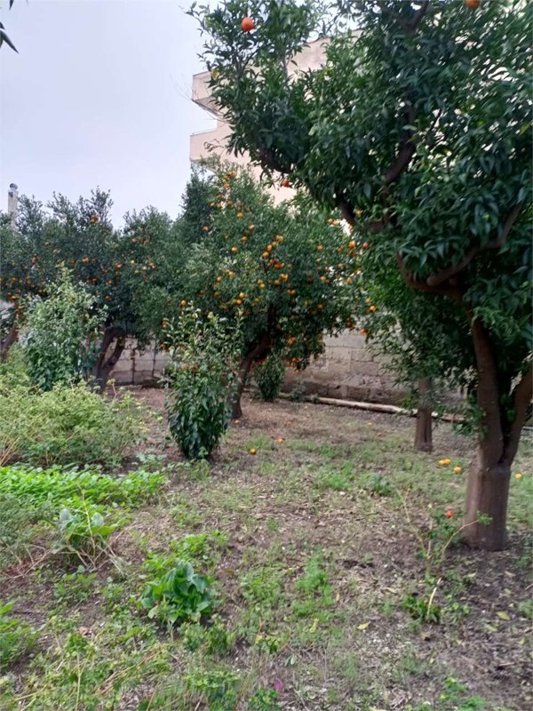 casa indipendente in vendita a Mesagne