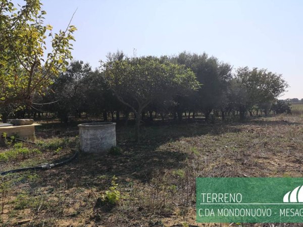 terreno agricolo in vendita a Mesagne