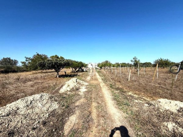 appartamento in vendita a Mesagne