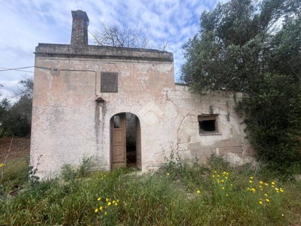 terreno agricolo in vendita a Mesagne