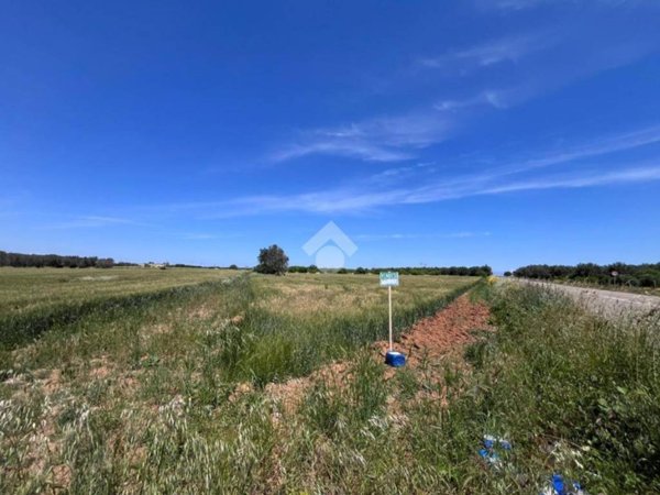 terreno agricolo in vendita a Mesagne