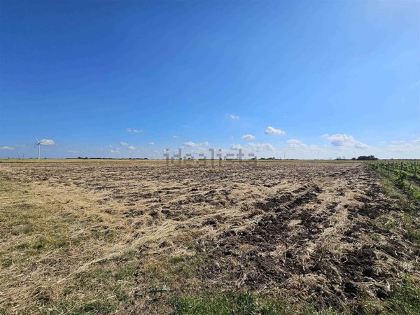 terreno agricolo in vendita a Mesagne